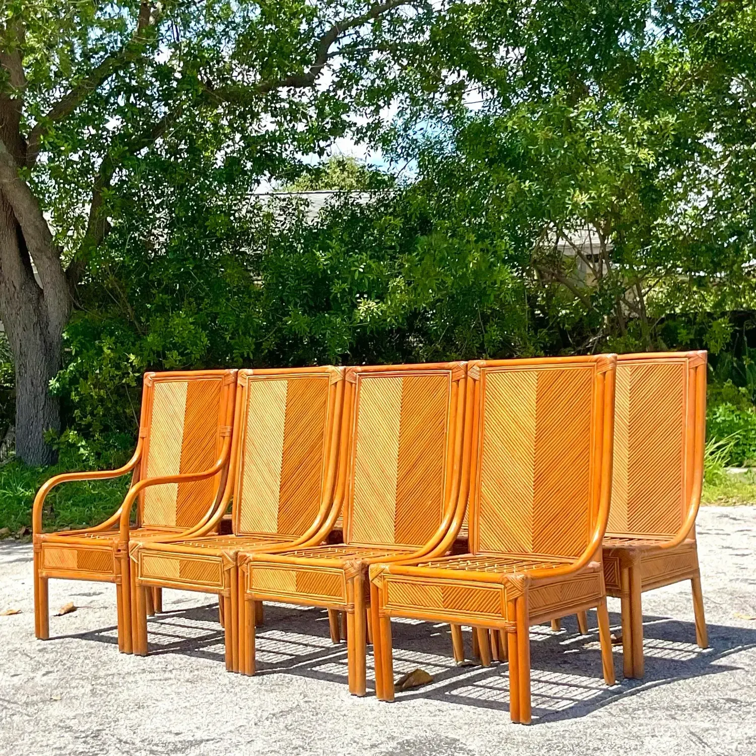 Vintage Coastal Chevron Pencil Reed Dining Chairs - Set of 8 — additional photo 8