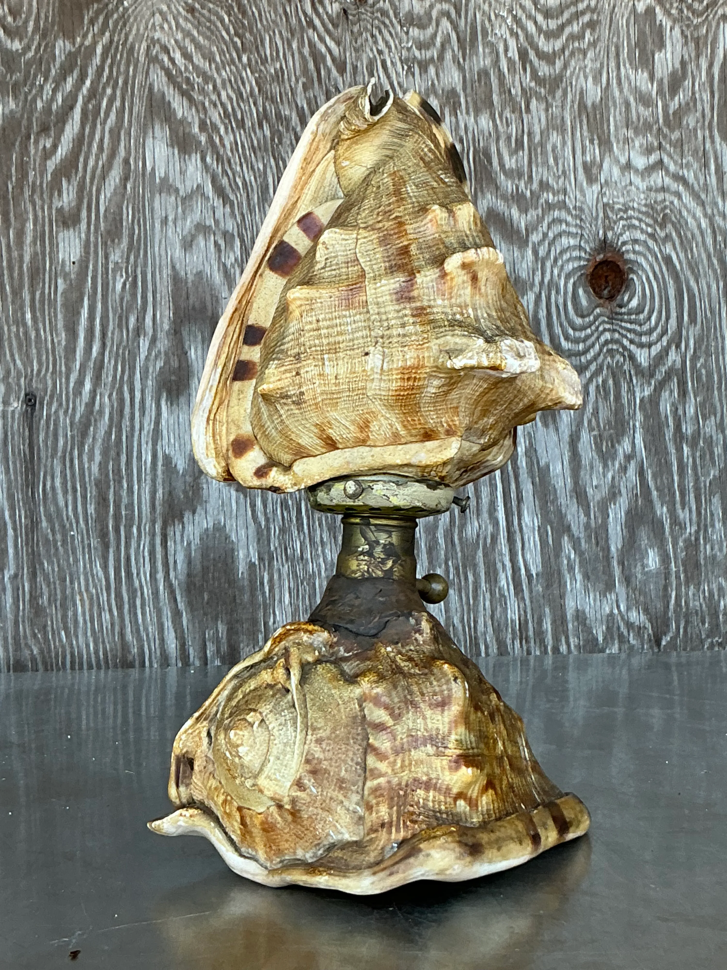Vintage Coastal Conch Shell Lamp — additional photo 3