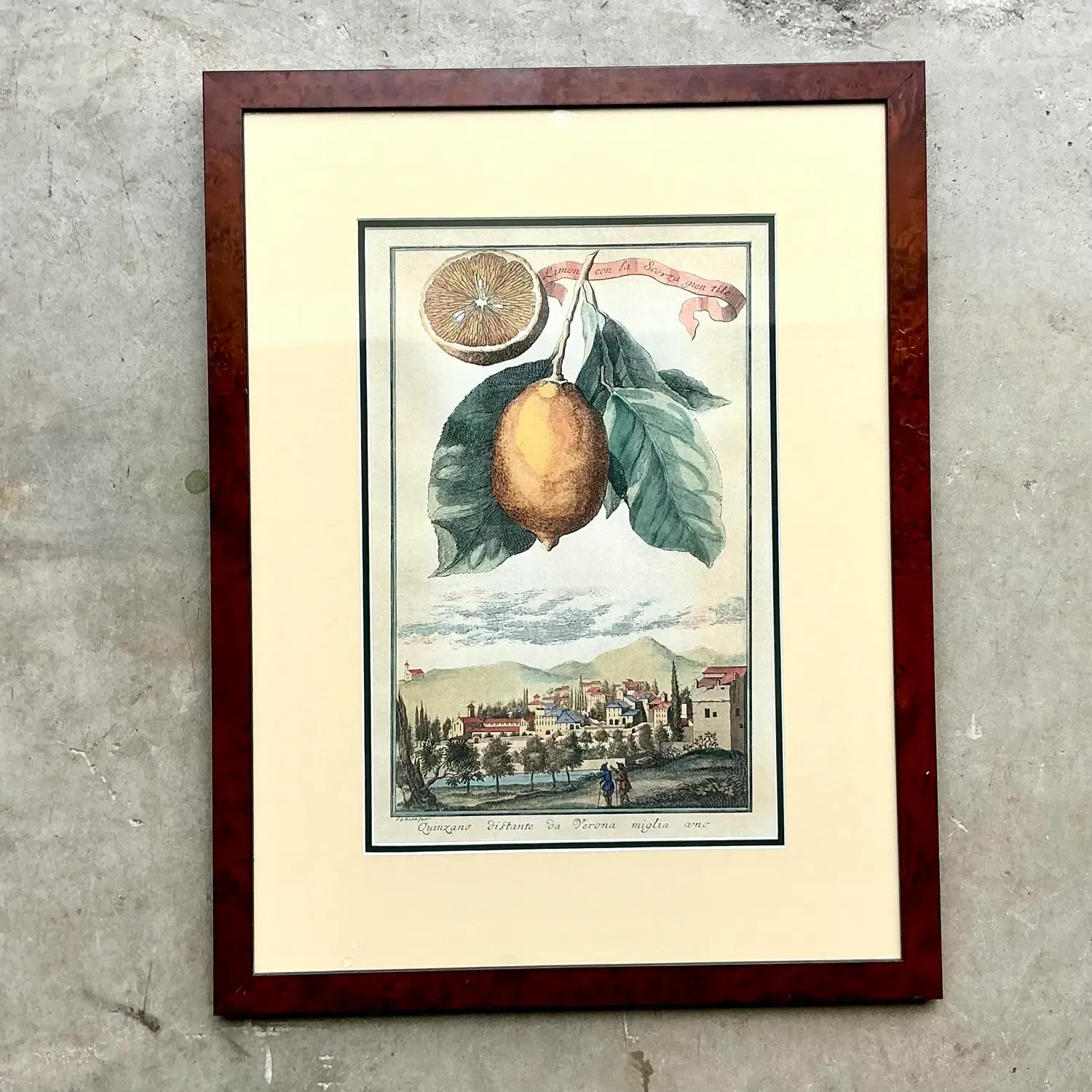 Vintage Coastal Lemon Engraving — additional photo 4
