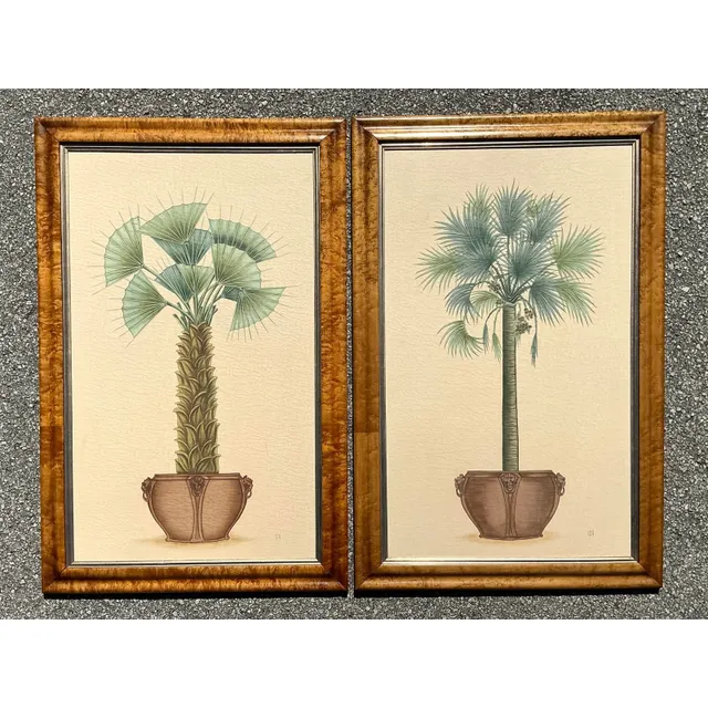 Vintage Coastal Palm Printed - A Pair — additional photo 4