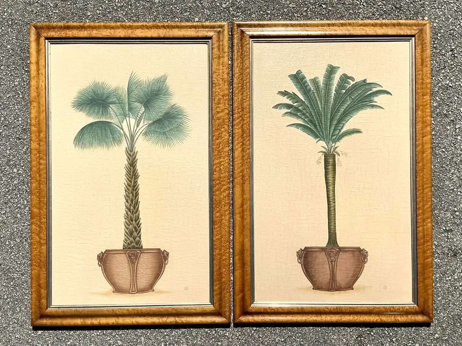 Vintage Coastal Palm Prints - A Pair — additional photo 2