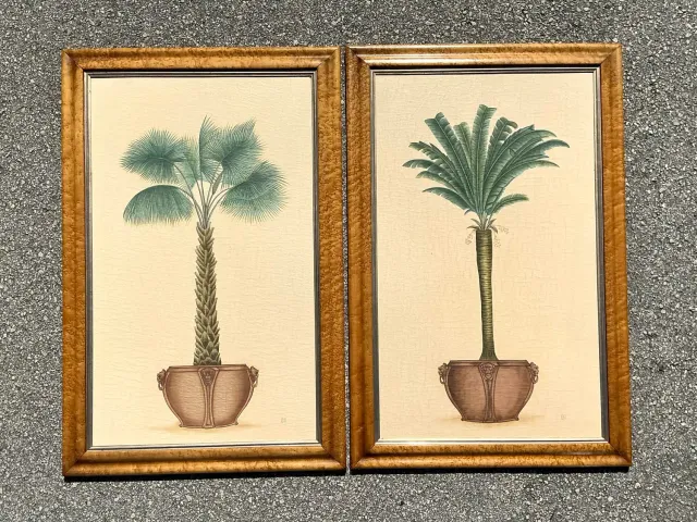 Vintage Coastal Palm Prints - A Pair — additional photo 3