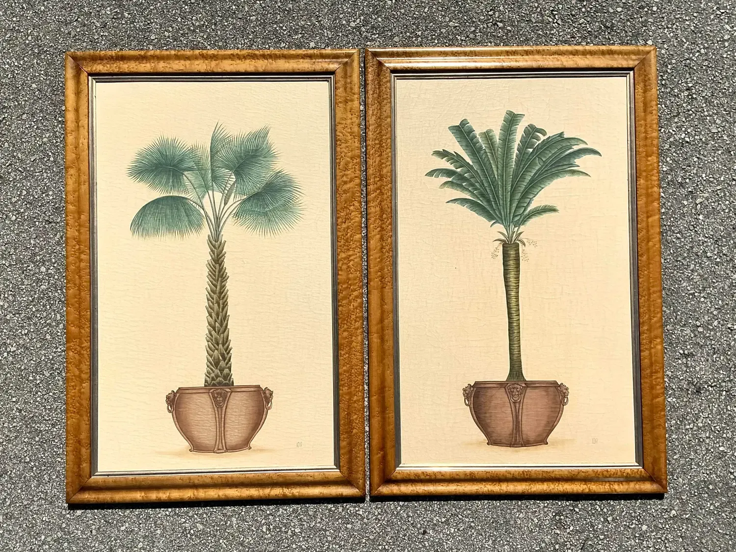 Vintage Coastal Palm Prints - A Pair — additional photo 6