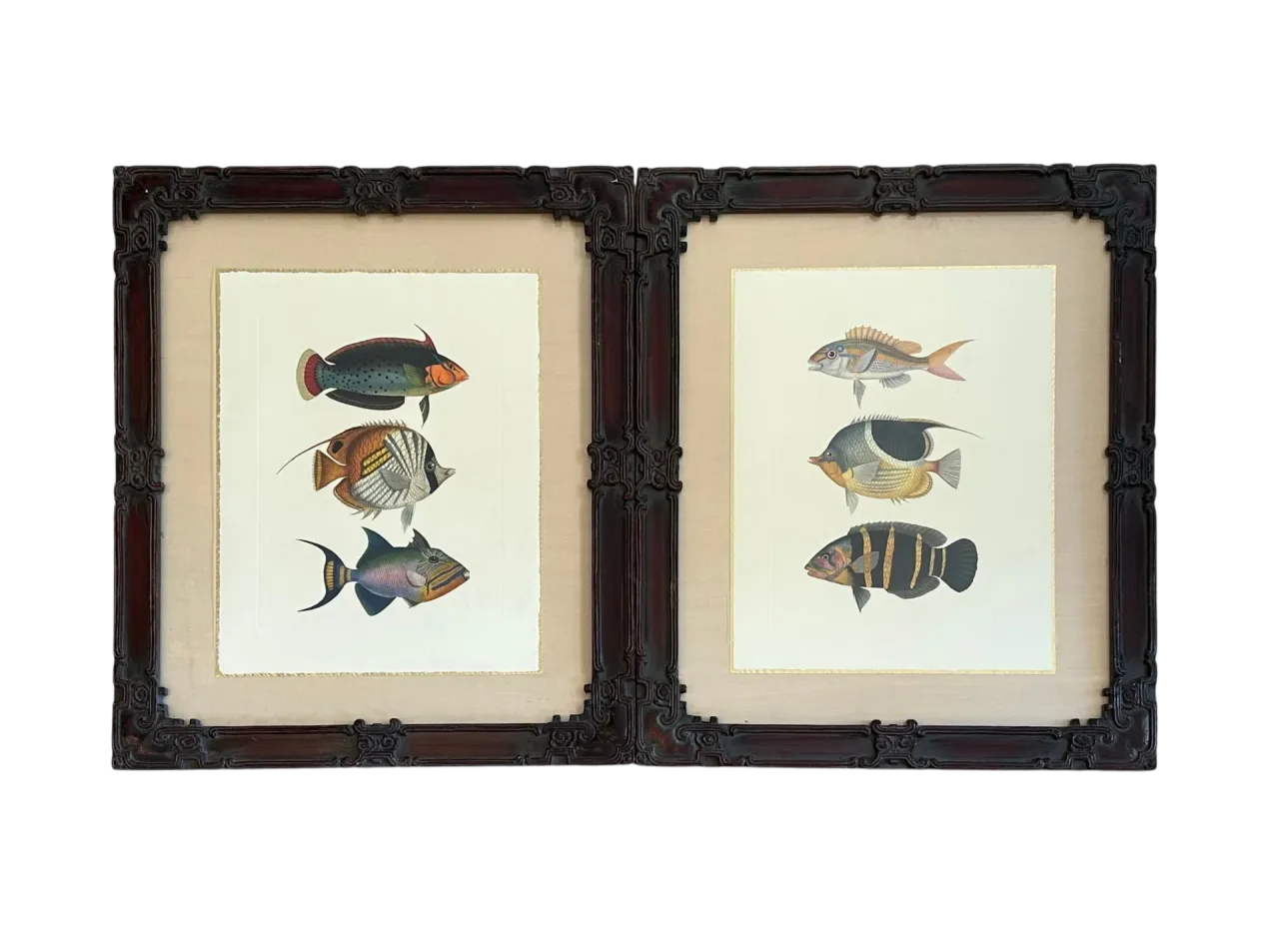 Vintage Coastal Print of Fish- a Pair