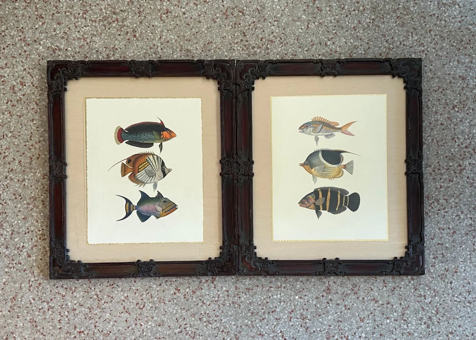Vintage Coastal Print of Fish- a Pair — additional photo 1