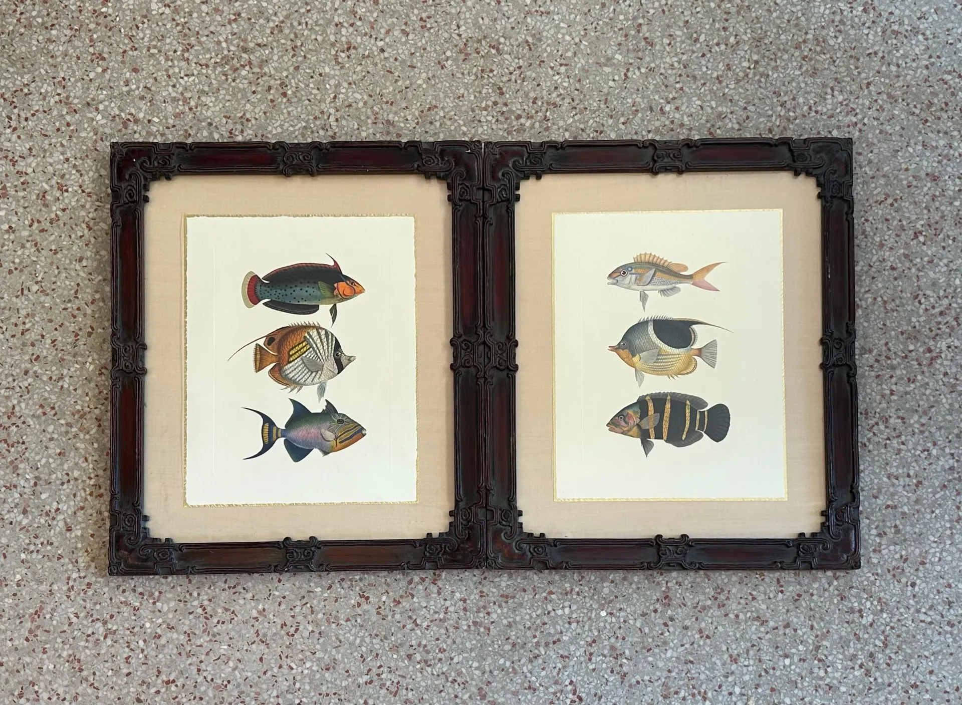 Vintage Coastal Print of Fish- a Pair — additional photo 2