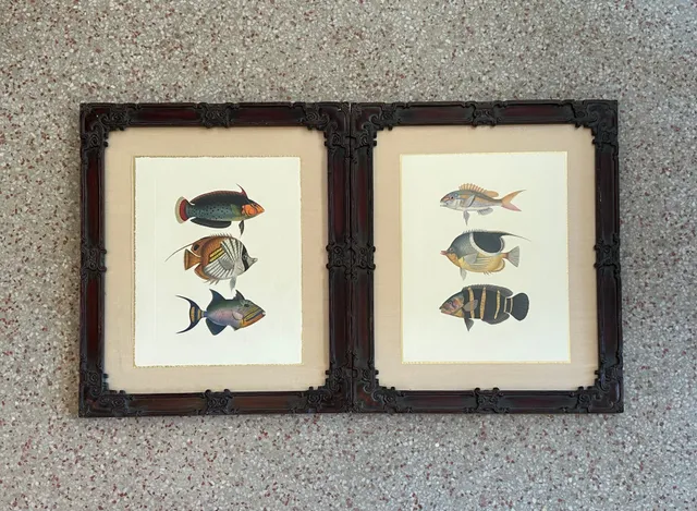 Vintage Coastal Print of Fish- a Pair — additional photo 2