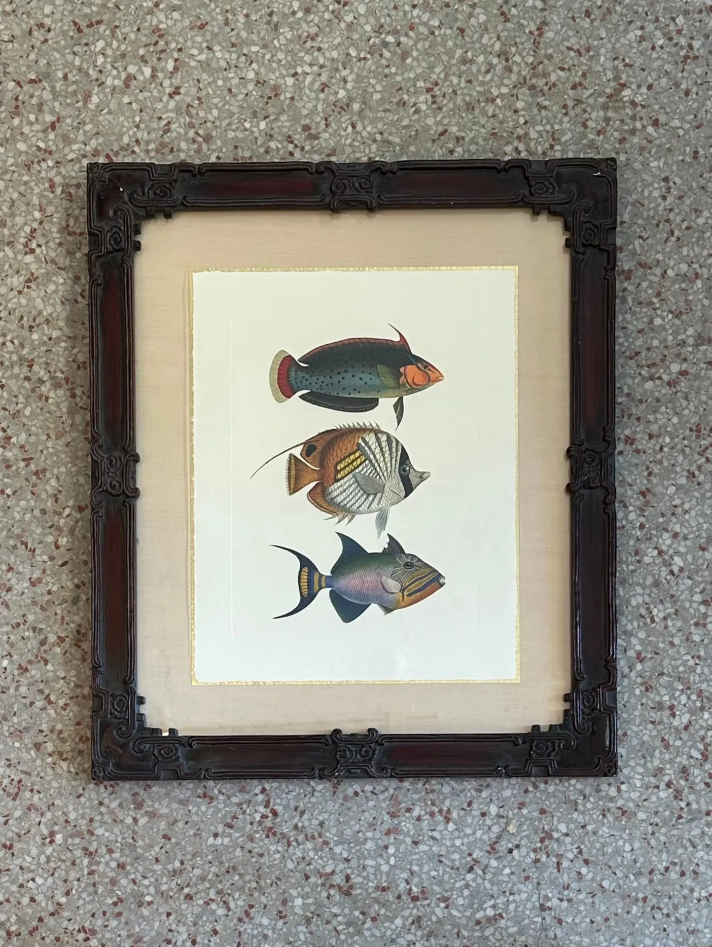 Vintage Coastal Print of Fish- a Pair — additional photo 3