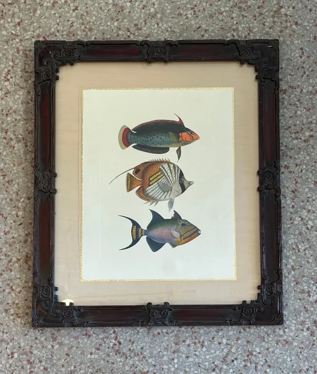 Vintage Coastal Print of Fish- a Pair — additional photo 5