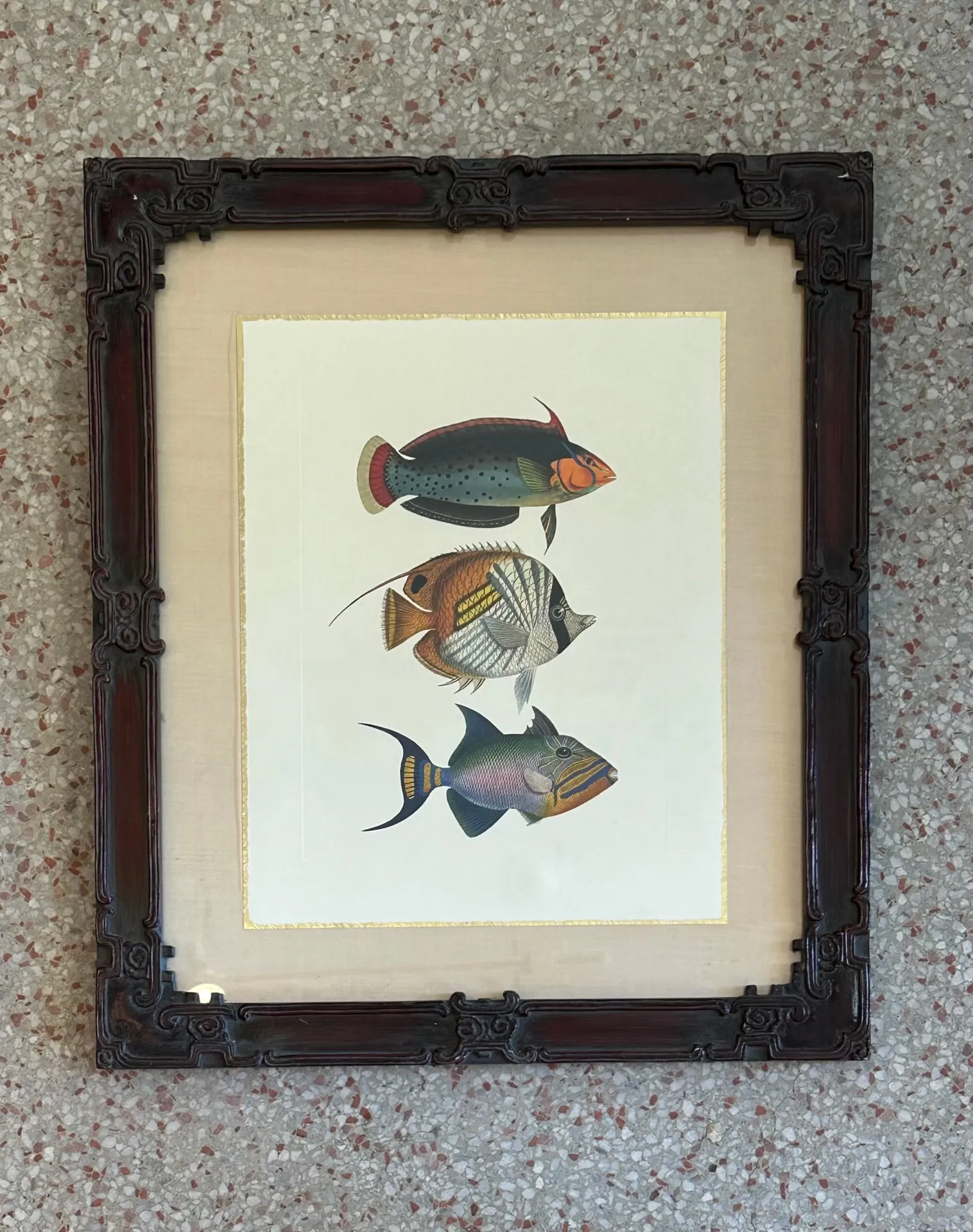 Vintage Coastal Print of Fish- a Pair — additional photo 6
