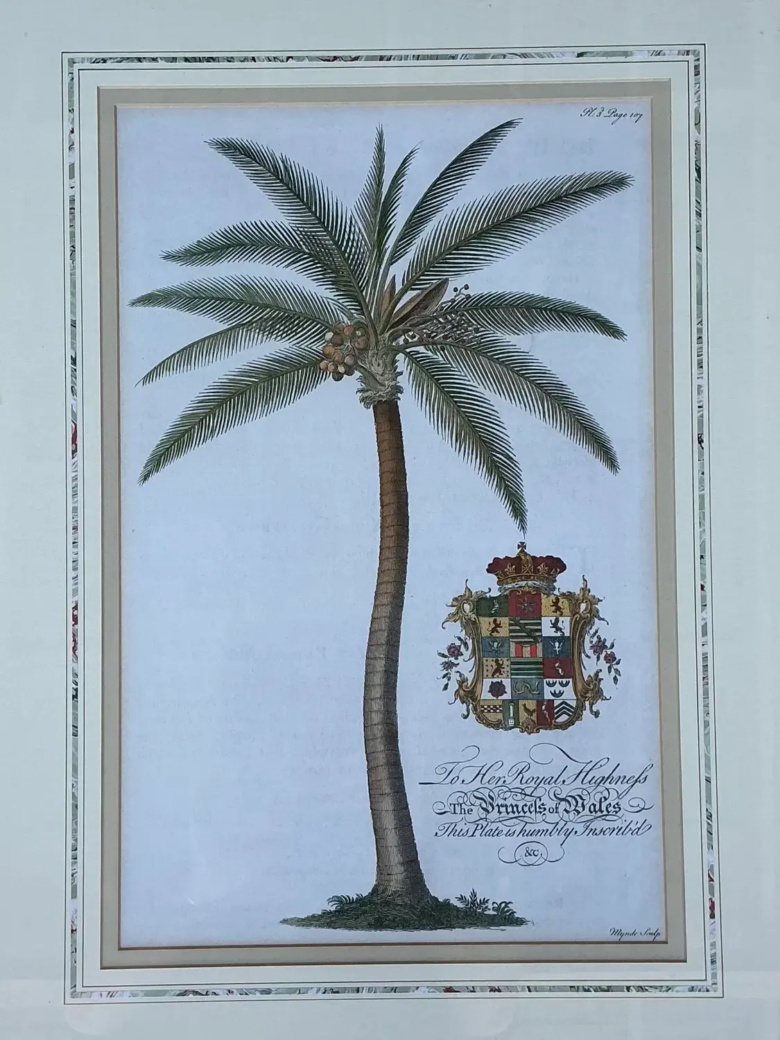Vintage Crested Palm Etchings - A Pair — additional photo 2