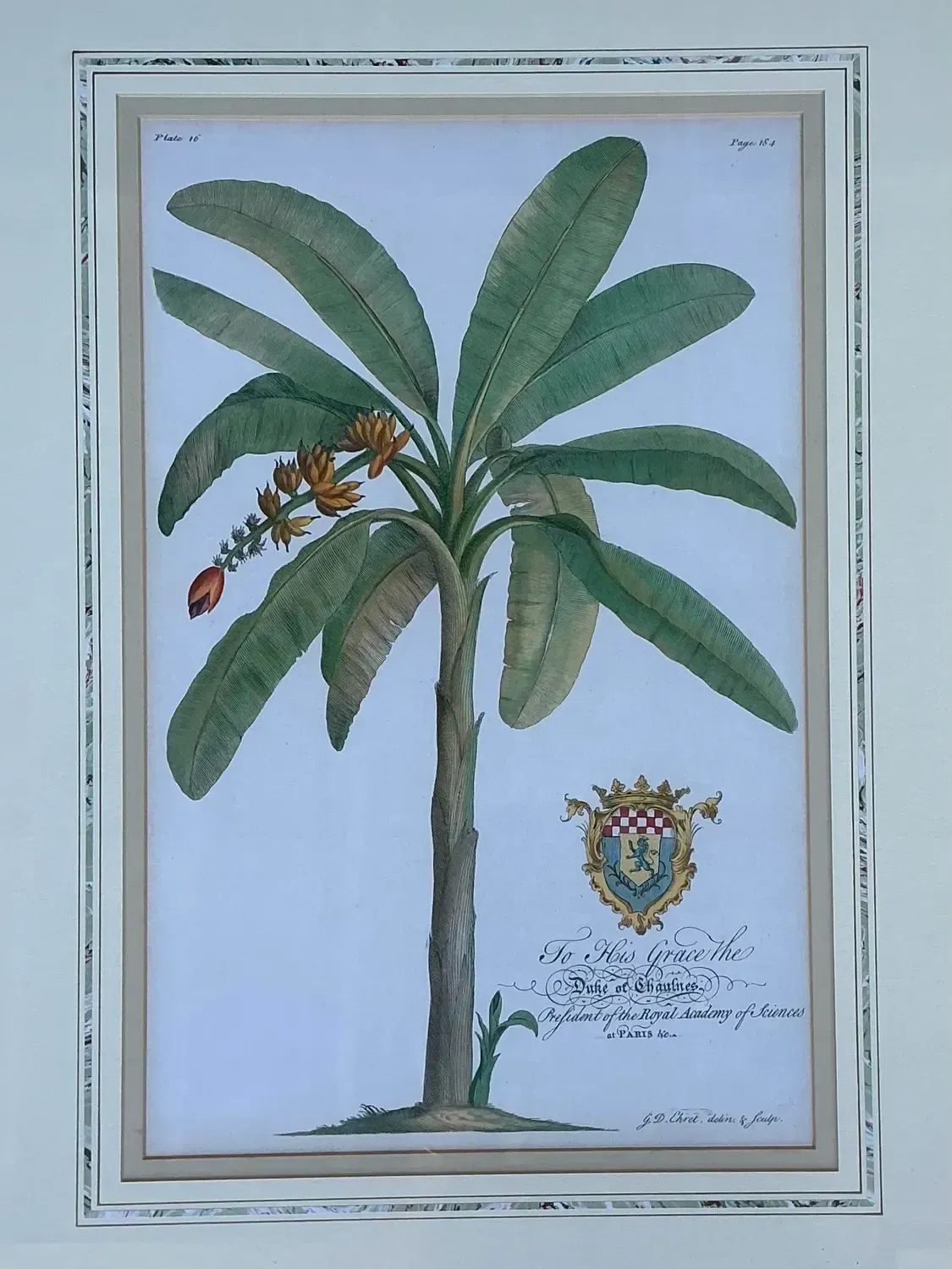 Vintage Crested Palm Etchings - A Pair — additional photo 3