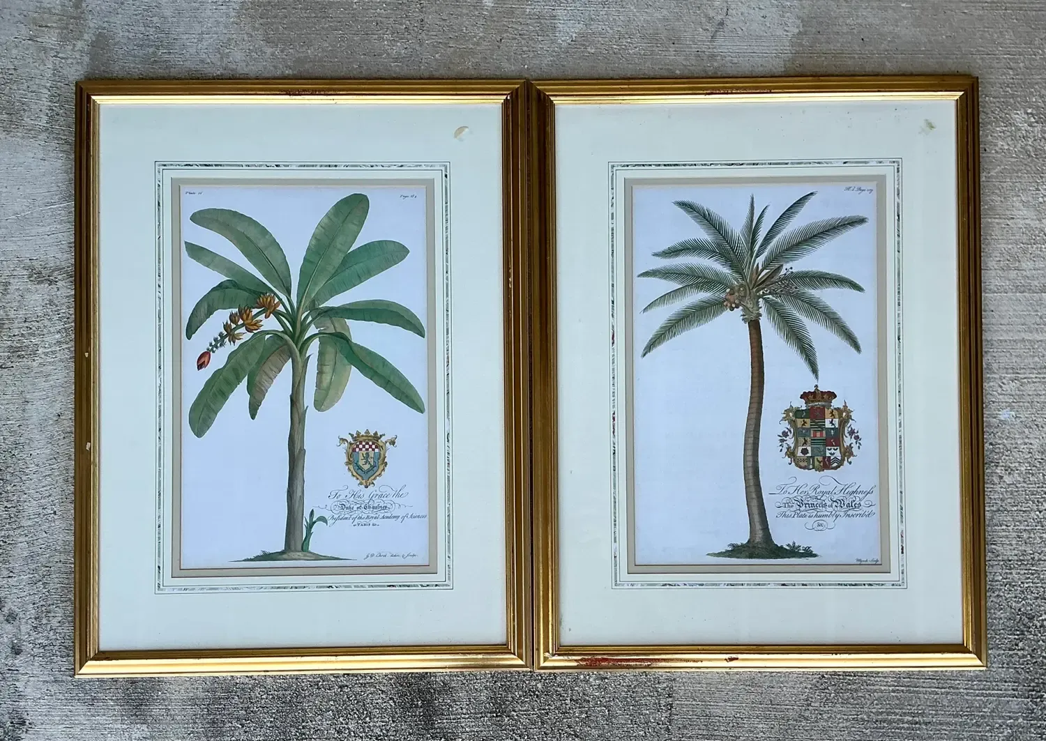 Vintage Crested Palm Etchings - A Pair — additional photo 1