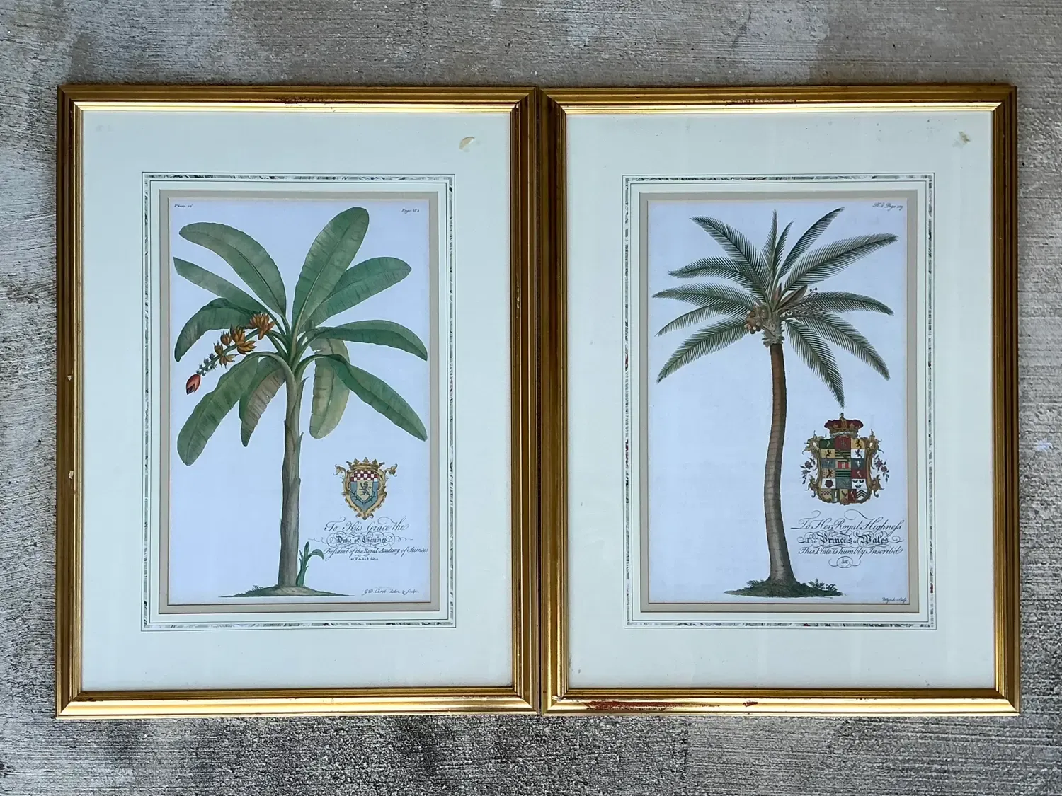 Vintage Crested Palm Etchings - A Pair — additional photo 4
