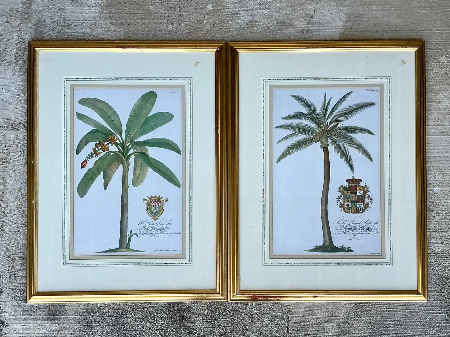 Vintage Crested Palm Etchings - A Pair — additional photo 5