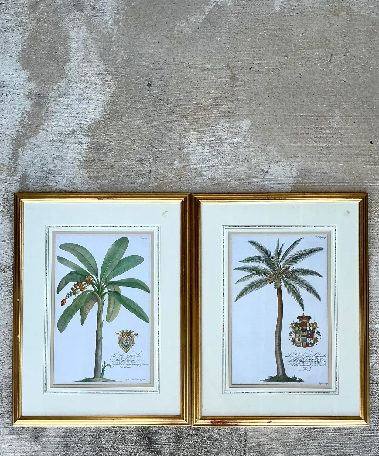 Vintage Crested Palm Etchings - A Pair — additional photo 6