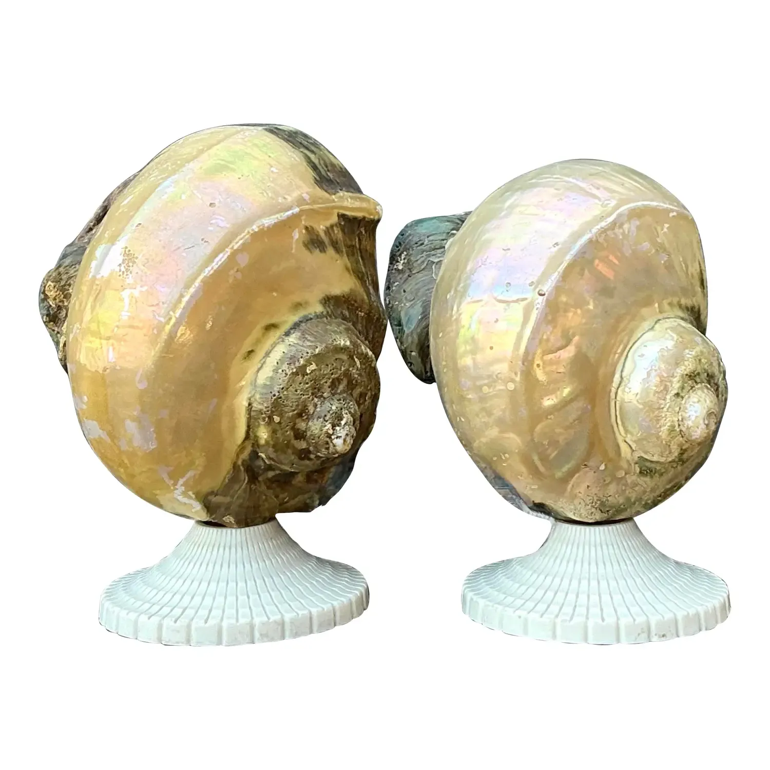 Vintage Deco Nautilus Shell Lamps - A Pair — additional photo 1