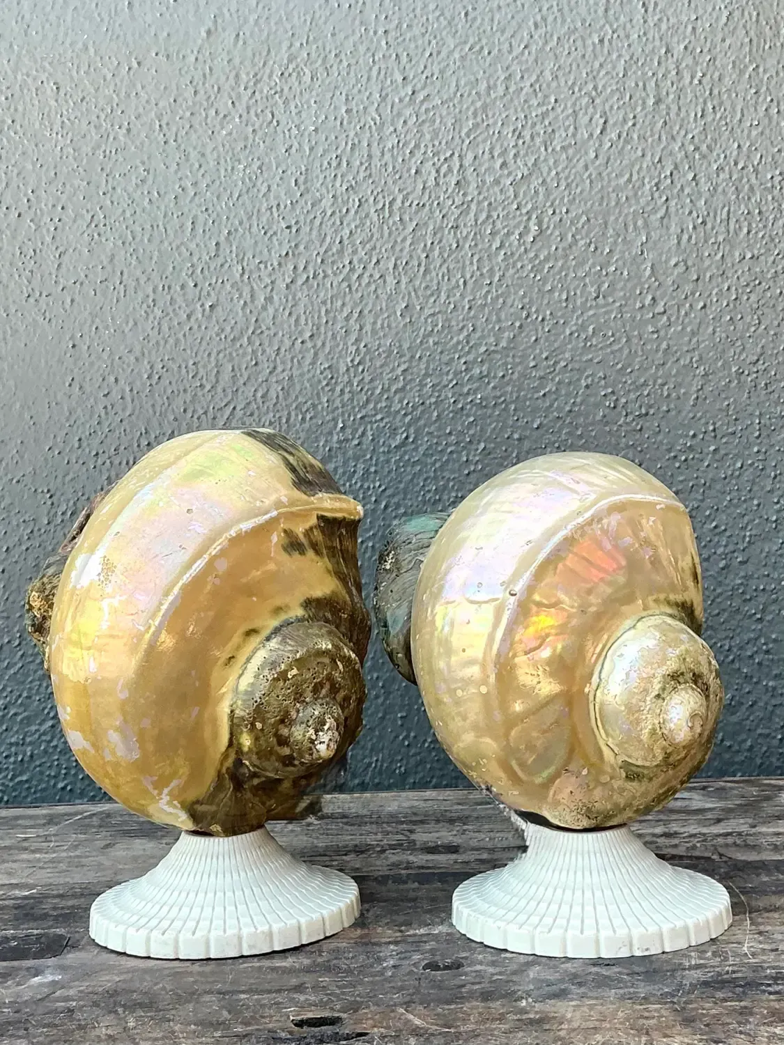 Vintage Deco Nautilus Shell Lamps - A Pair — additional photo 2