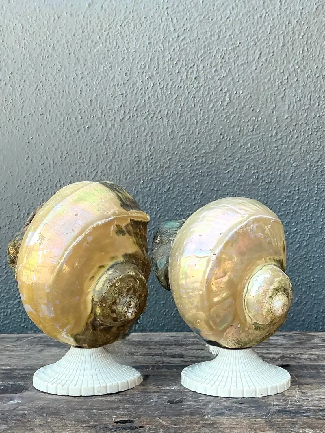 Vintage Deco Nautilus Shell Lamps - A Pair — additional photo 3