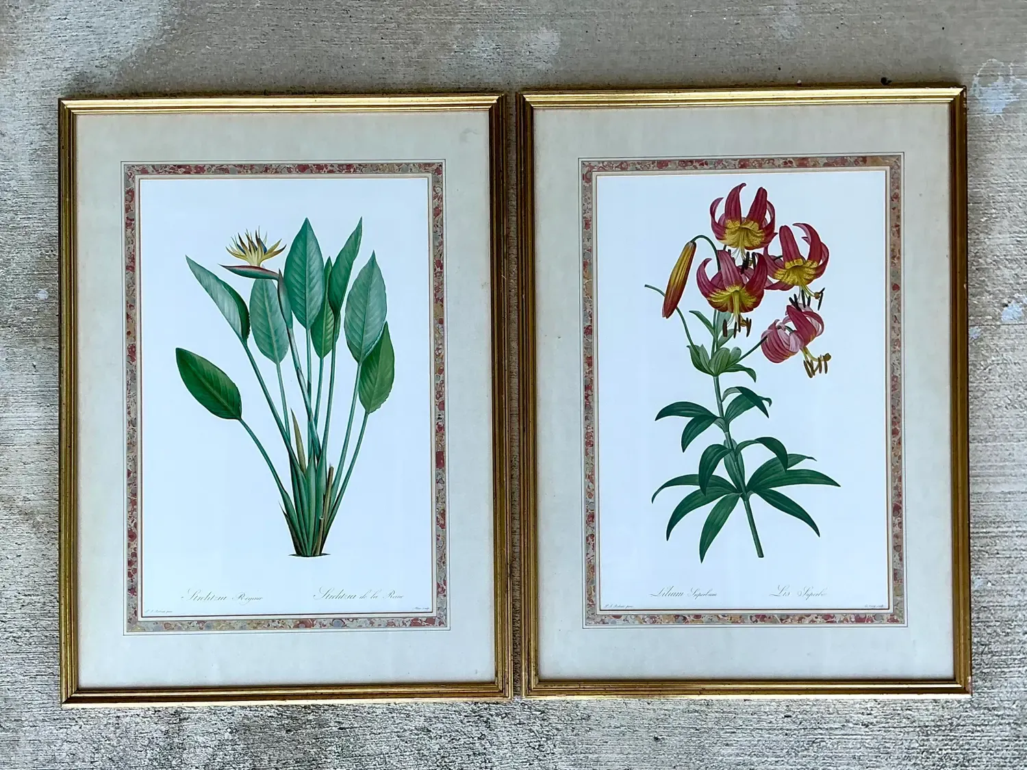 Vintage Ehret Botanical Prints - Set of 2 - Glass, 21W x 28.5H — additional photo 1