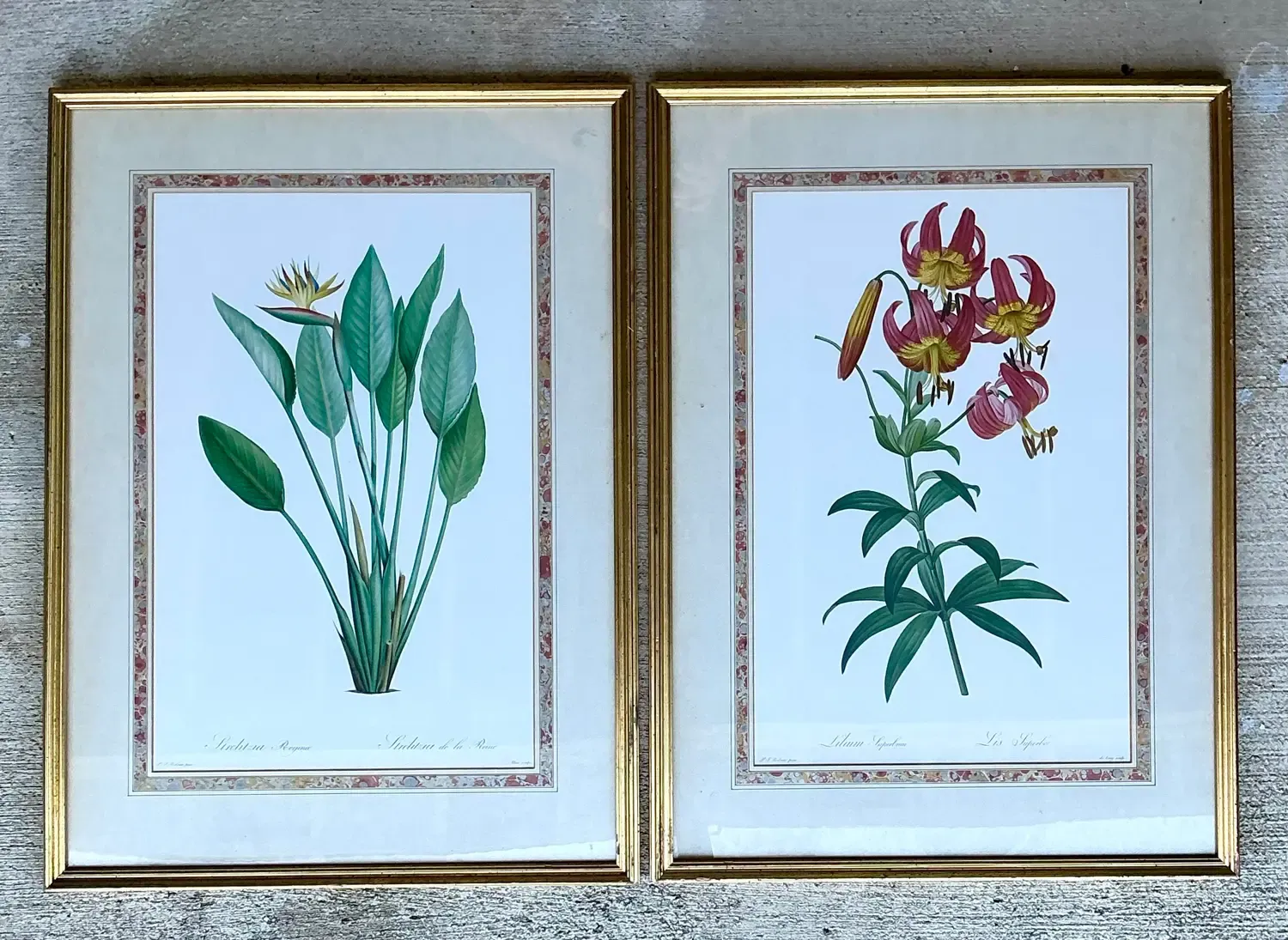 Vintage Ehret Botanical Prints - Set of 2 - Glass, 21W x 28.5H — additional photo 4