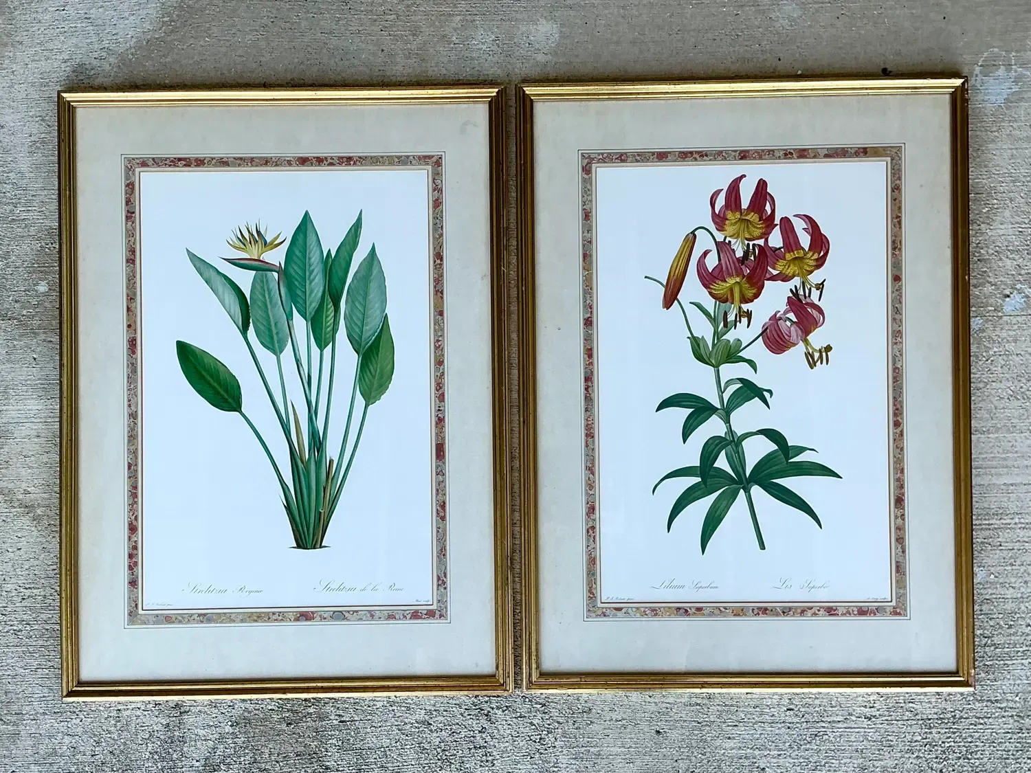 Vintage Ehret Botanical Prints - Set of 2 - Glass, 21W x 28.5H — additional photo 5