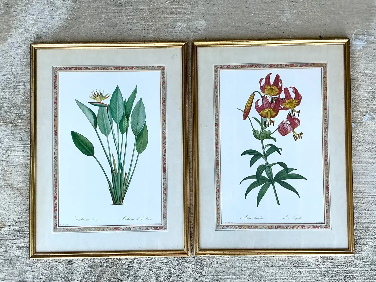 Vintage Ehret Botanical Prints - Set of 2 - Glass, 21W x 28.5H — additional photo 6