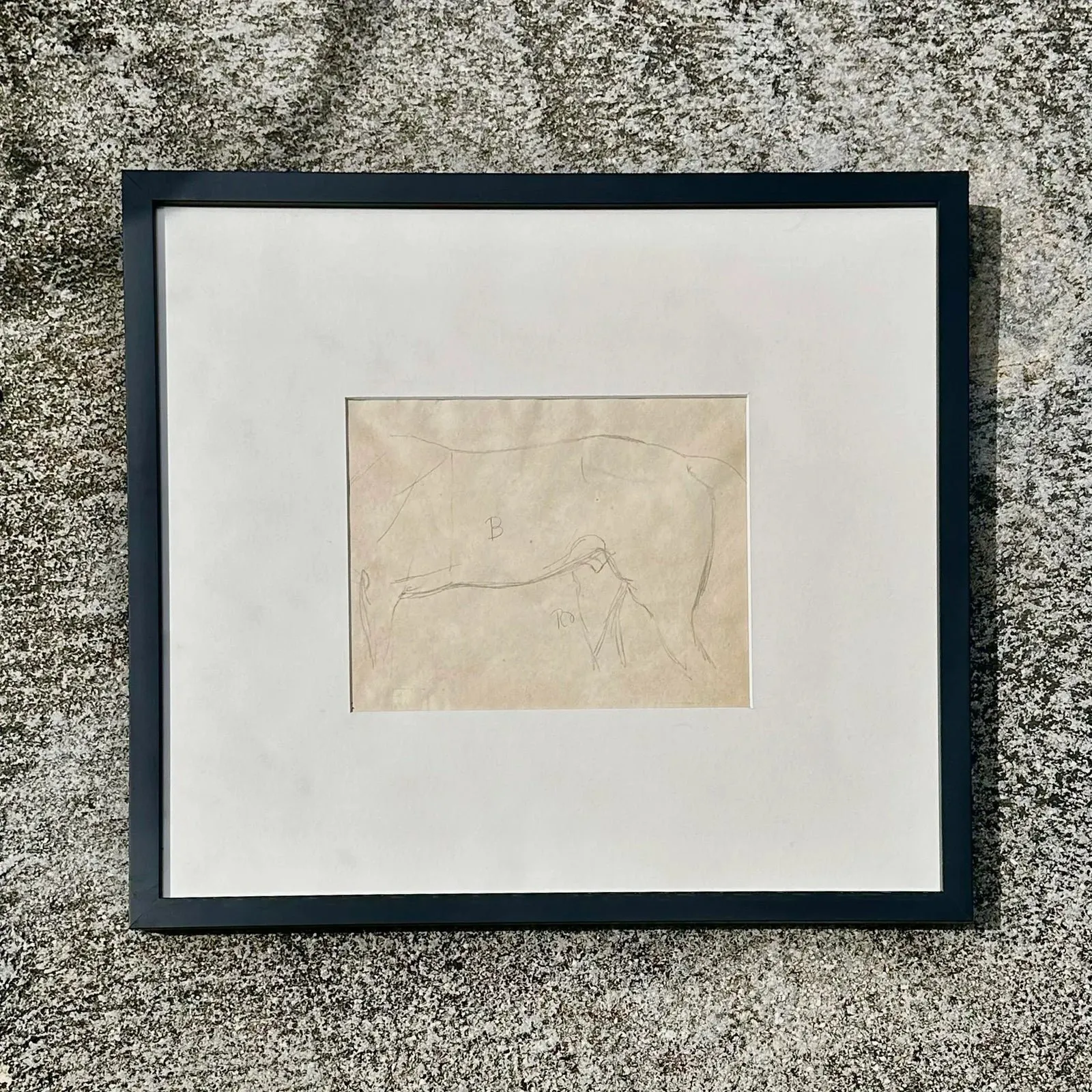 Vintage Framed Horse Body Sketch Drawing - Paper, 17.25W x 16H — additional photo 2