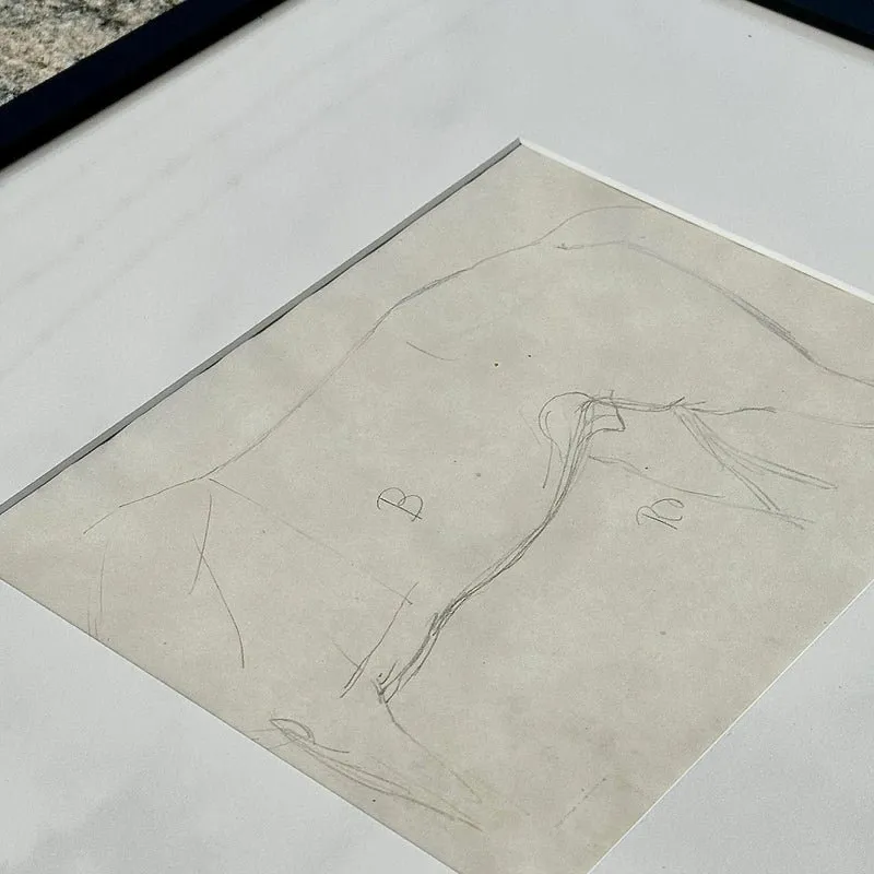 Vintage Framed Horse Body Sketch Drawing - Paper, 17.25W x 16H — additional photo 3