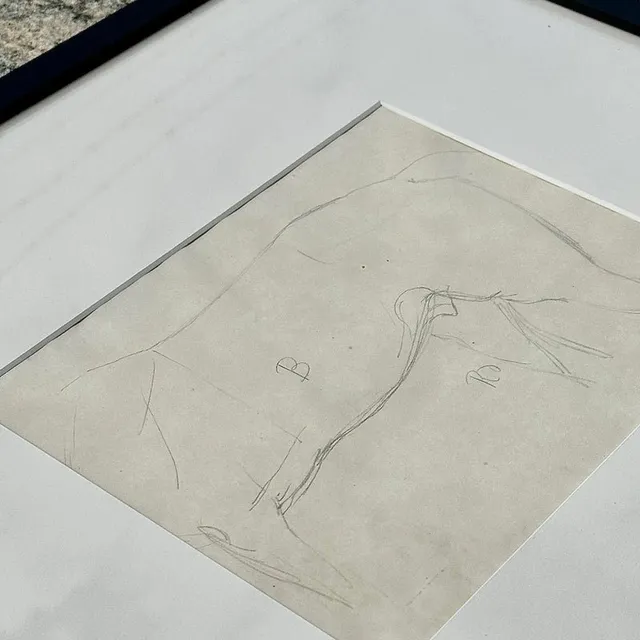 Vintage Framed Horse Body Sketch Drawing - Paper, 17.25W x 16H — additional photo 3