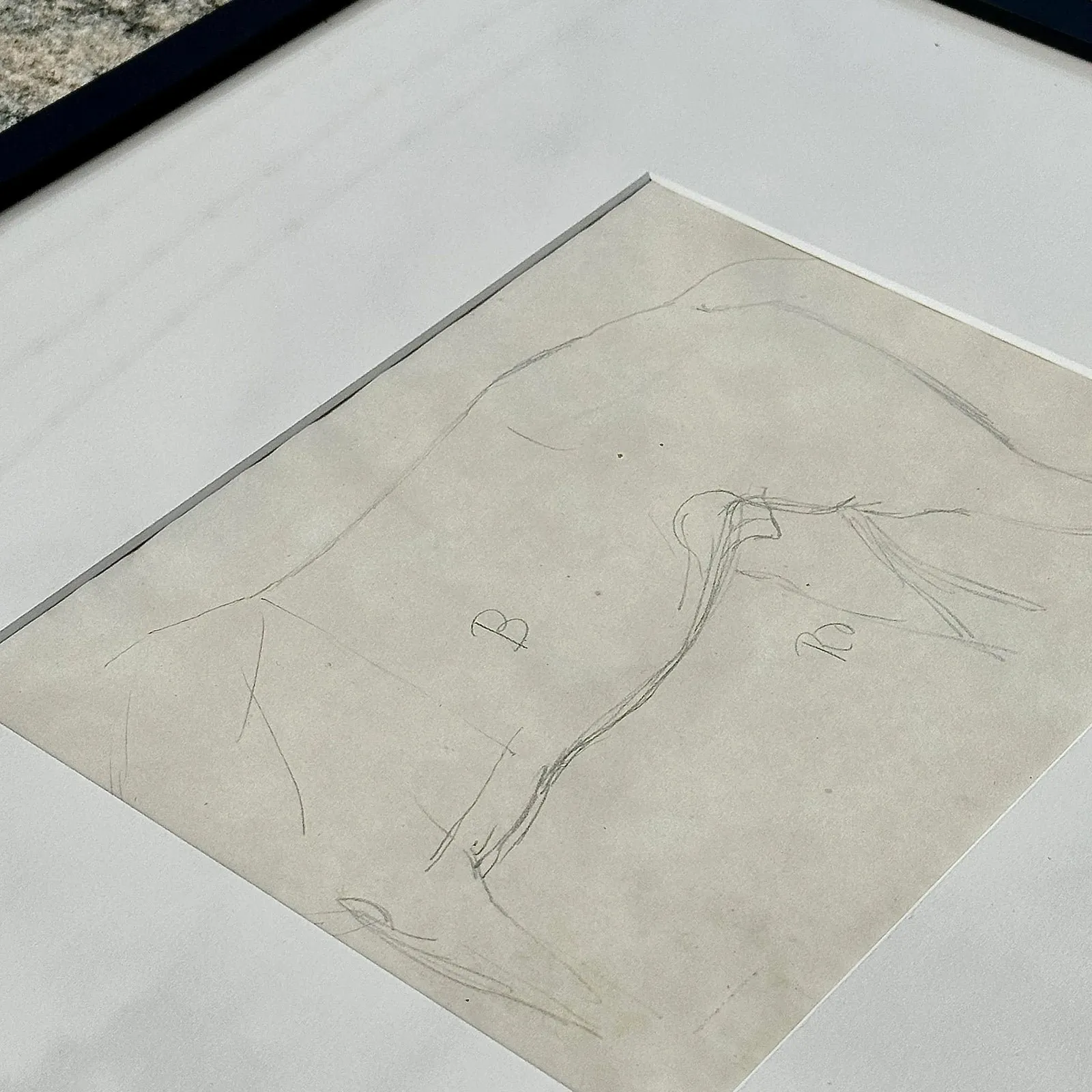 Vintage Framed Horse Body Sketch Drawing - Paper, 17.25W x 16H — additional photo 5