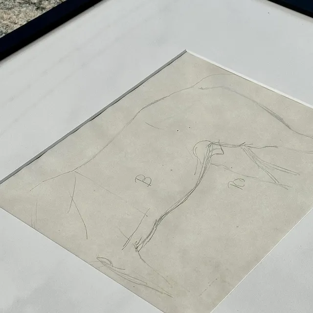 Vintage Framed Horse Body Sketch Drawing - Paper, 17.25W x 16H — additional photo 5