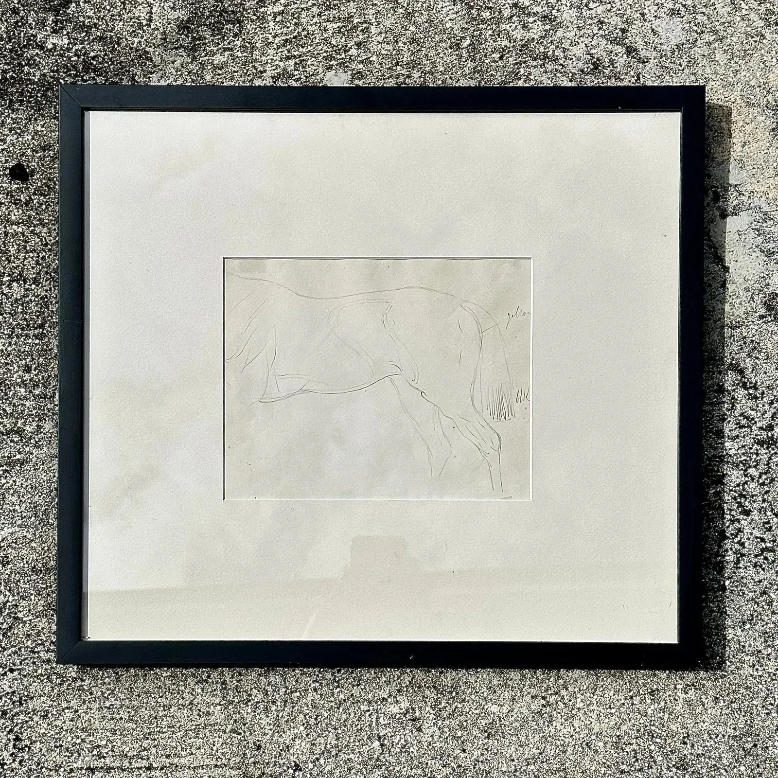Vintage Framed Horse Body Sketch Drawing - Paper, 17.25W x 16H — additional photo 7