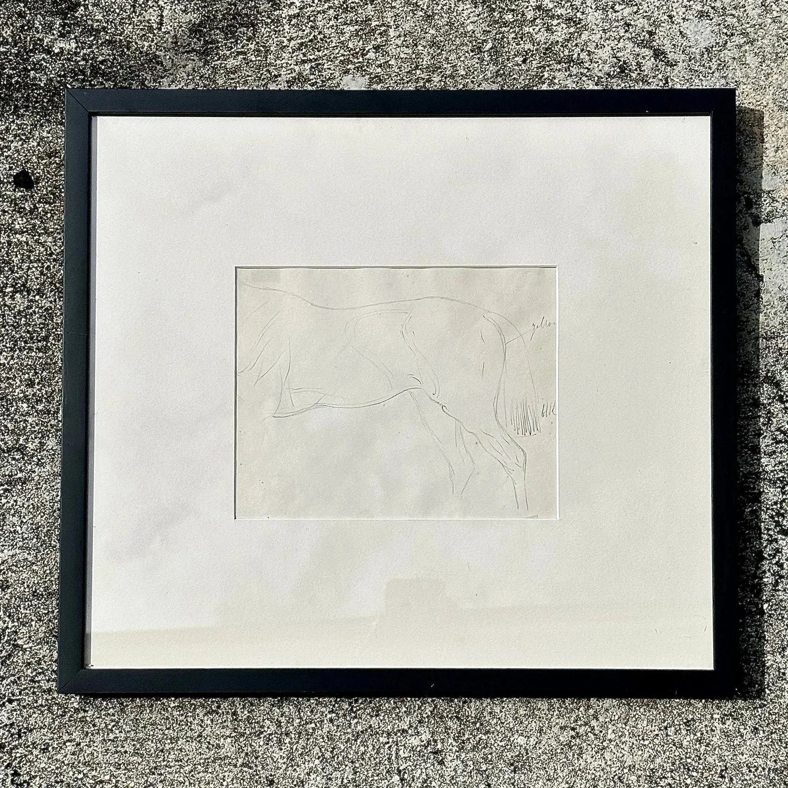 Vintage Framed Horse Body Sketch Drawing - Paper, 17.25W x 16H — additional photo 8