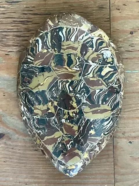 Vintage Italian Scagliola Artisan Made Pigmented Plaster Turtle Shell — additional photo 2