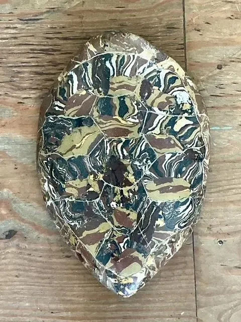 Vintage Italian Scagliola Artisan Made Pigmented Plaster Turtle Shell — additional photo 3