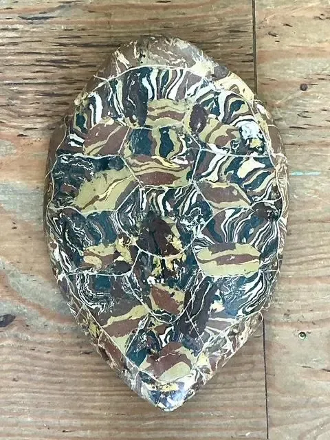 Vintage Italian Scagliola Artisan Made Pigmented Plaster Turtle Shell — additional photo 4