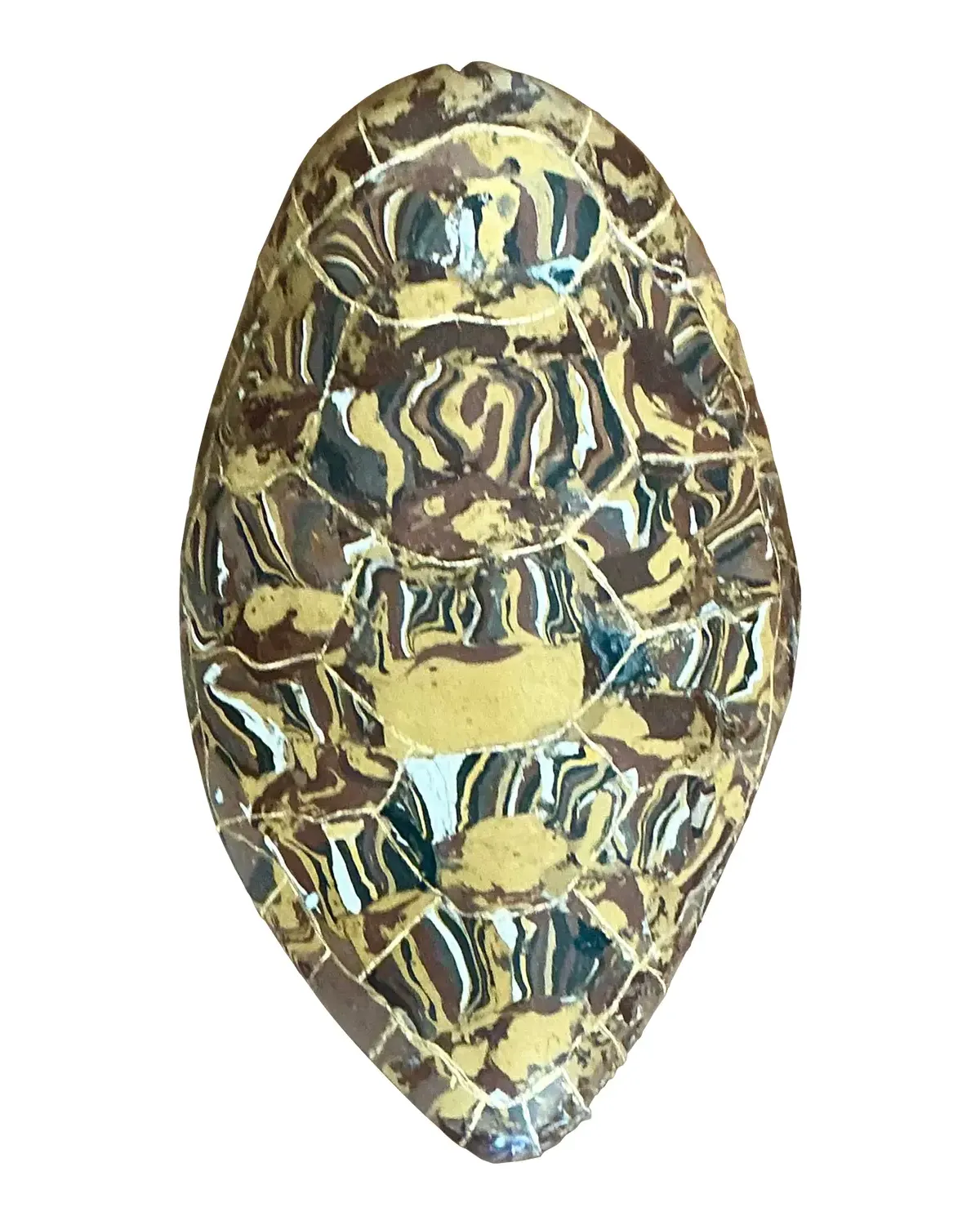 Vintage Italian Scagliola Gilt Tipped Pigmented Plaster Turtle Shell