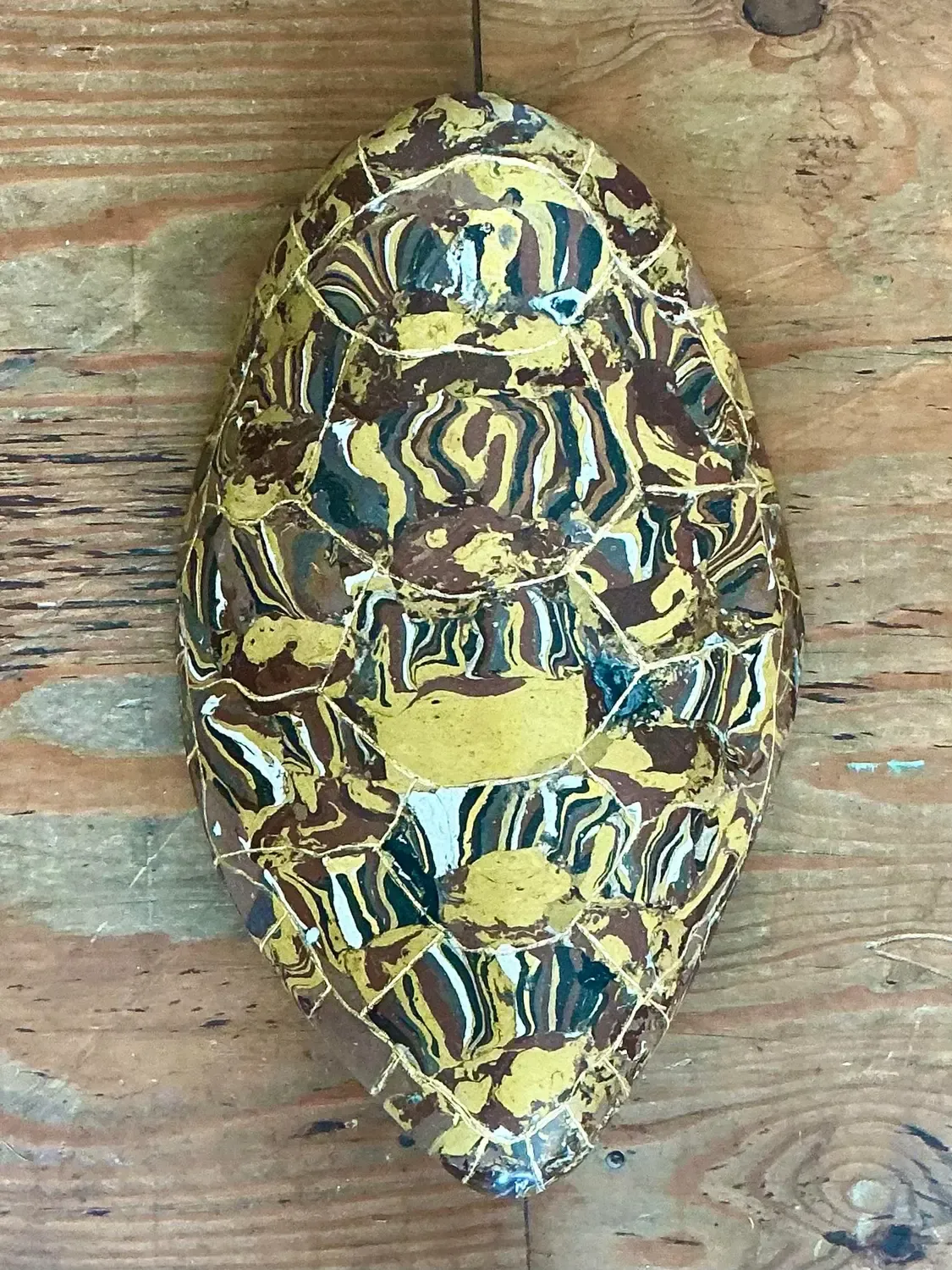Vintage Italian Scagliola Gilt Tipped Pigmented Plaster Turtle Shell — additional photo 4