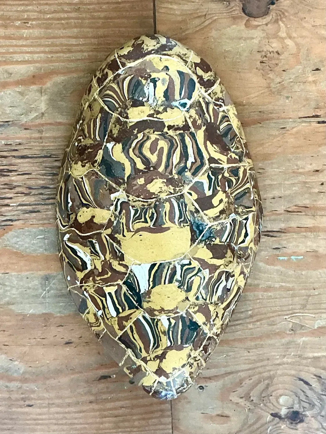 Vintage Italian Scagliola Gilt Tipped Pigmented Plaster Turtle Shell — additional photo 5