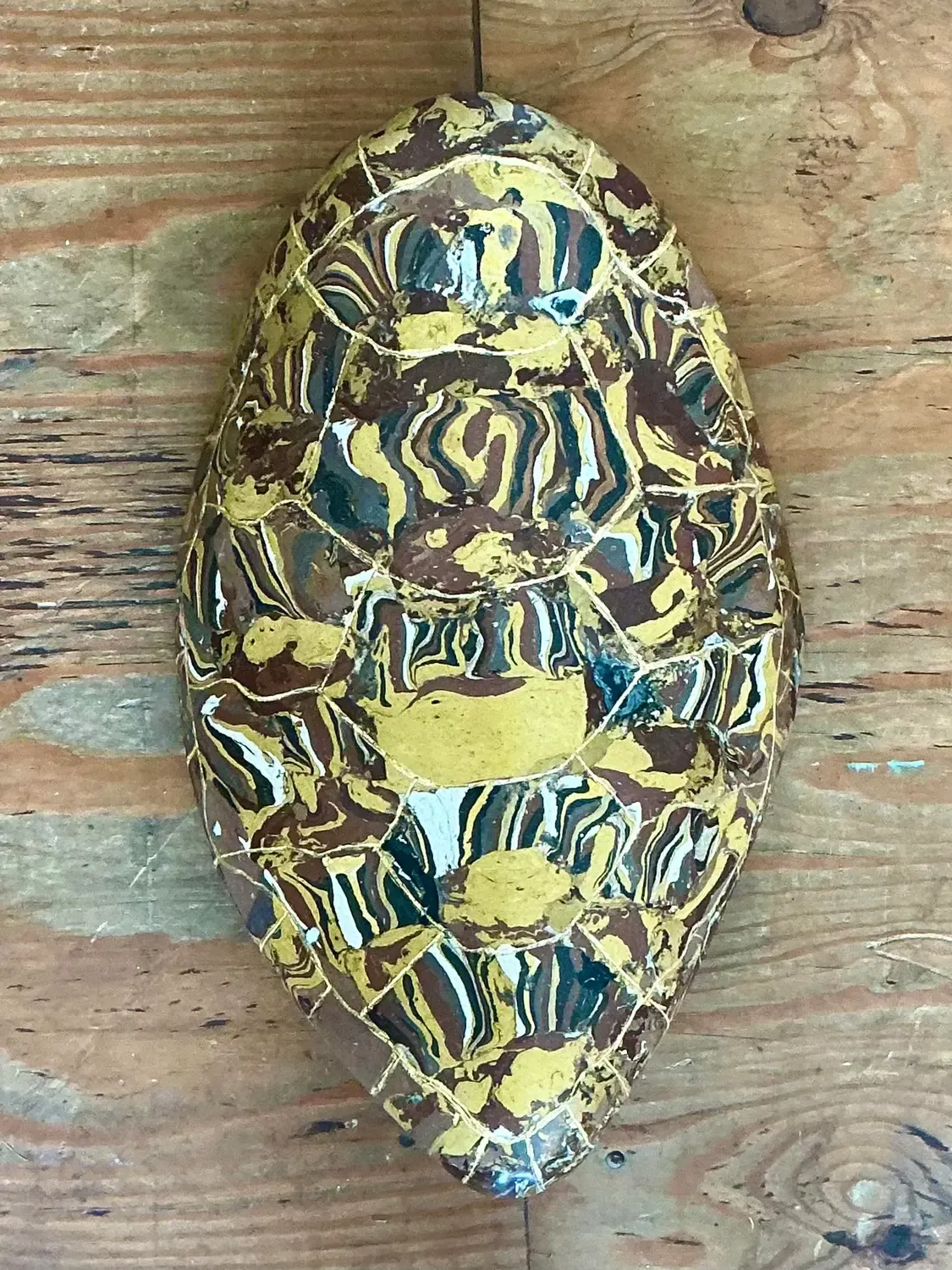 Vintage Italian Scagliola Gilt Tipped Pigmented Plaster Turtle Shell — additional photo 6