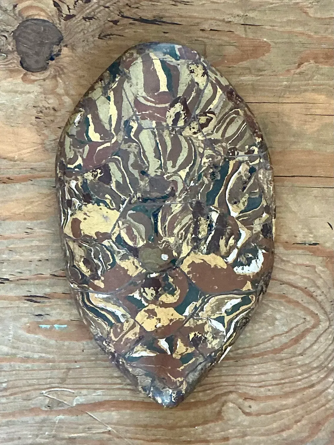 Vintage Italian Scagliola Pigmented Plaster Turtle Shell - Plaster, 11W x 17.25H — additional photo 1