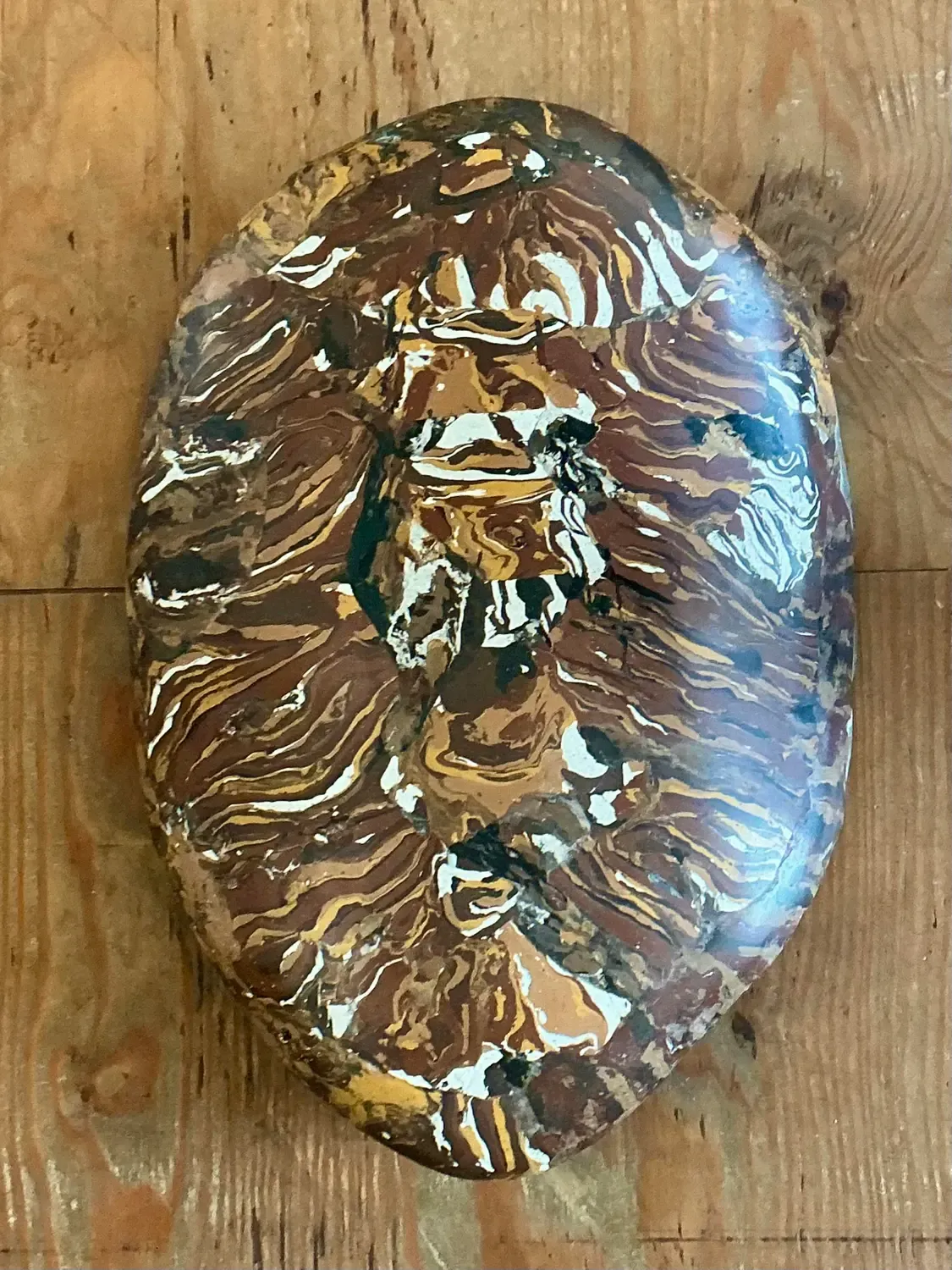 Vintage Italian Scagliola Pigmented Plaster Turtle Shell - Plaster, 11W x 17.25H — additional photo 2