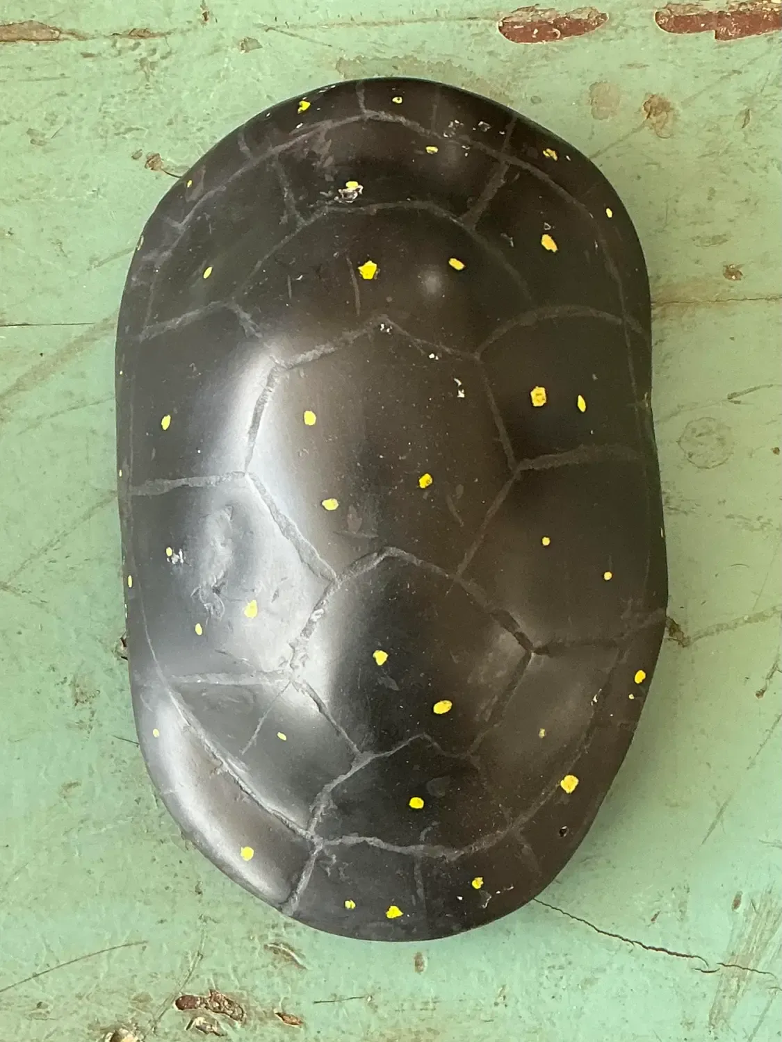 Vintage Italian Scagliola Pigmented Plaster Turtle Shell - Plaster, 5.75W x 8H