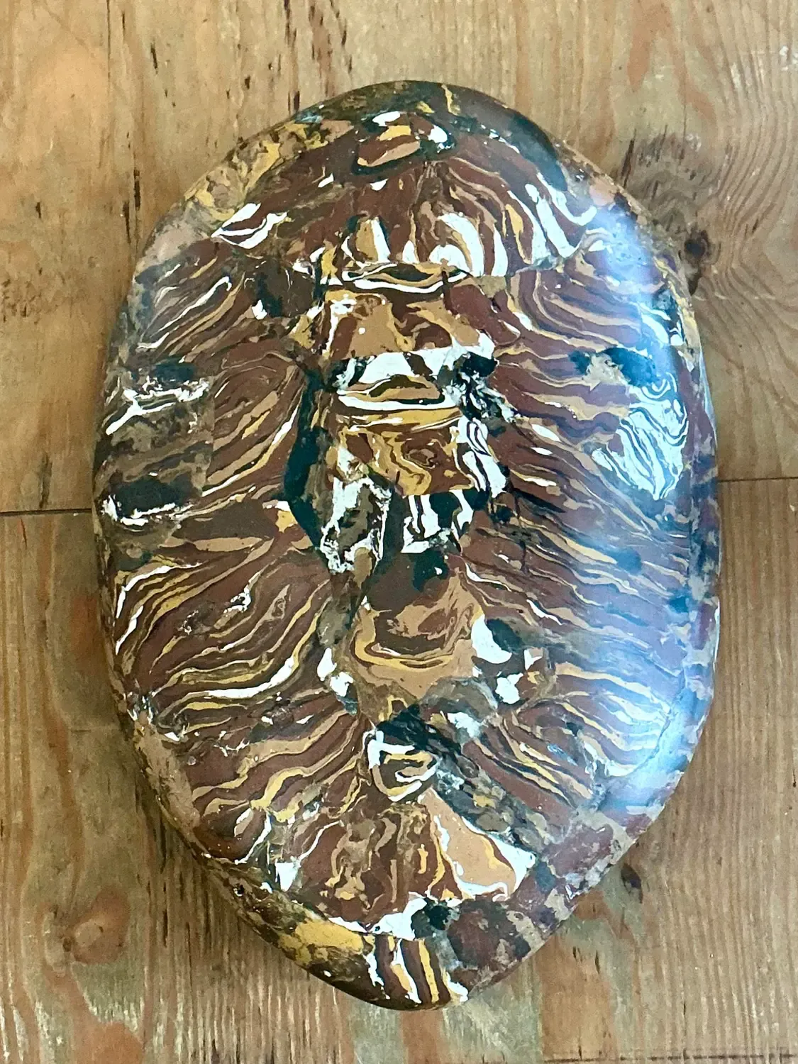 Vintage Italian Scagliola Pigmented Plaster Turtle Shell - Plaster, 17.75W x 24.25H — additional photo 1
