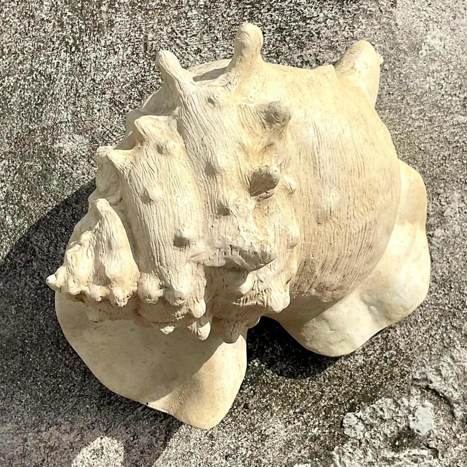 Vintage Monumental Plaster Over Resin Conch Shell — additional photo 6