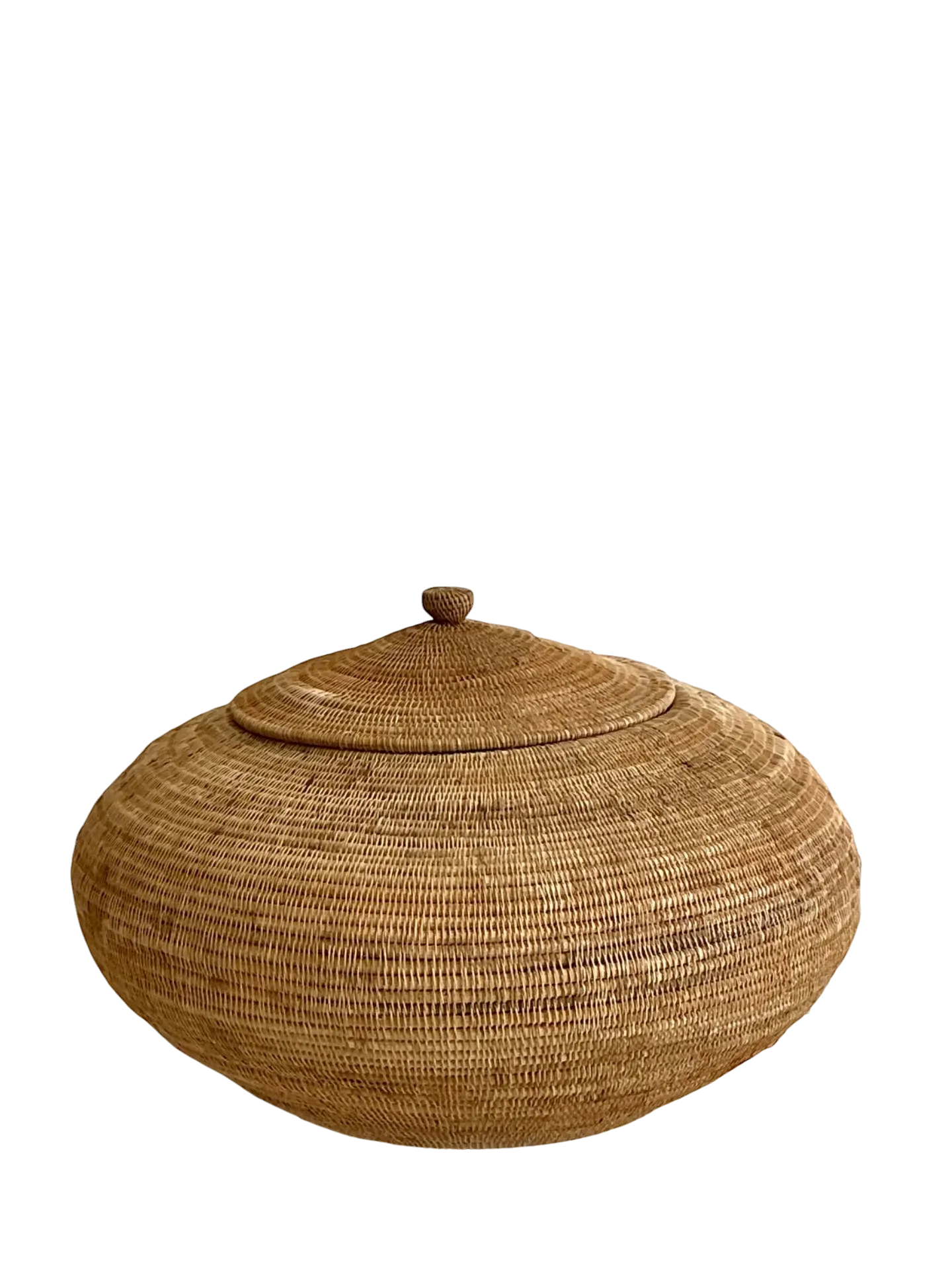 Vintage Natural Fiber Covered Basket