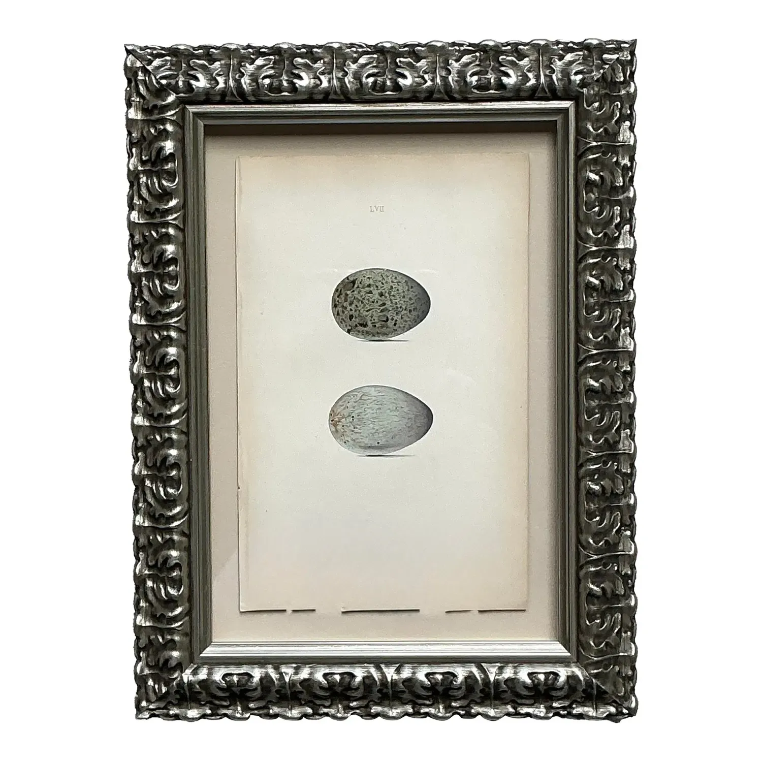 Vintage Original Book Plate of an Egg — additional photo 1