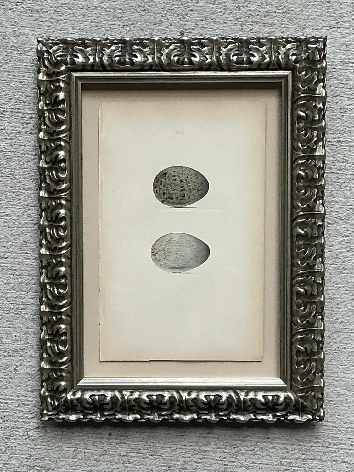 Vintage Original Book Plate of an Egg — additional photo 5