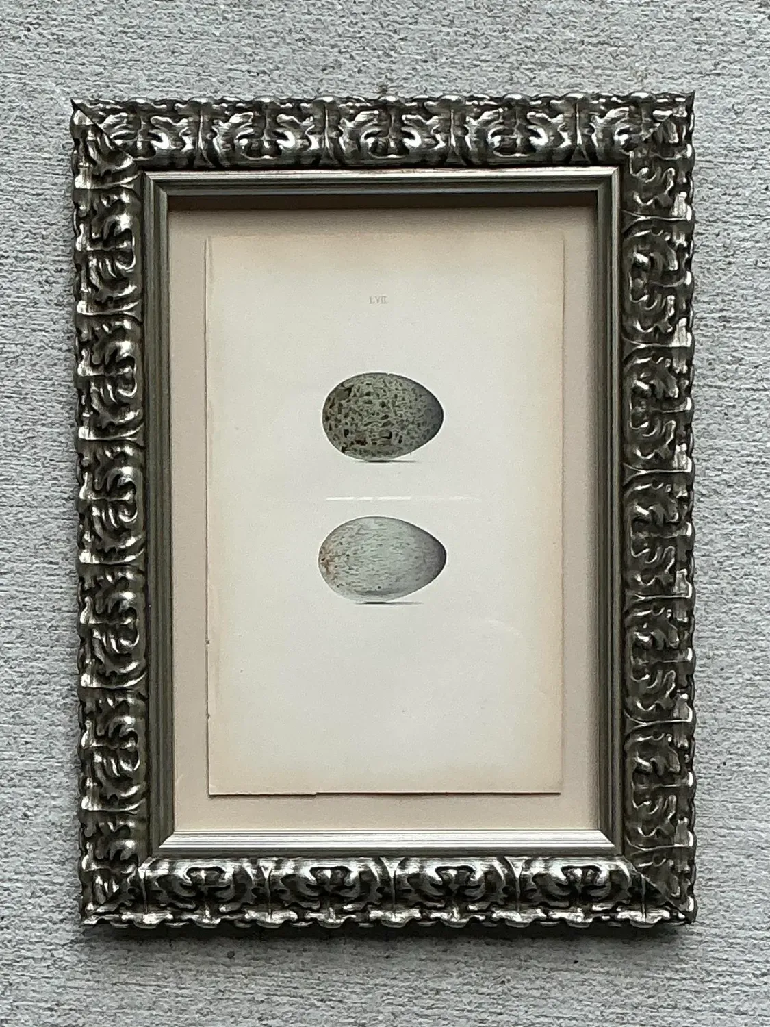 Vintage Original Book Plate of an Egg — additional photo 7